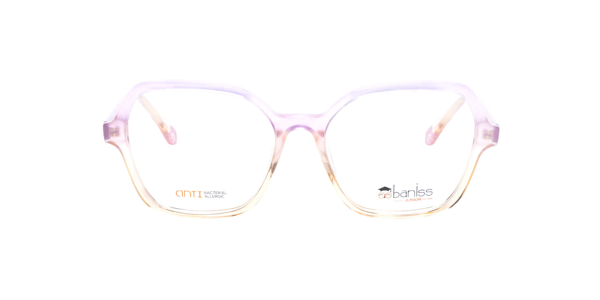 BANISS BS7095-02