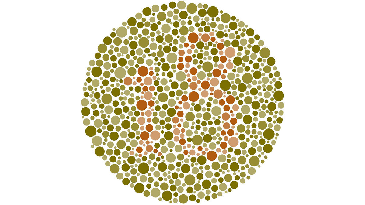 scale_2400.jpg scale_2400.jpg