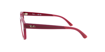Оправа RAY BAN 0RY1950-7207