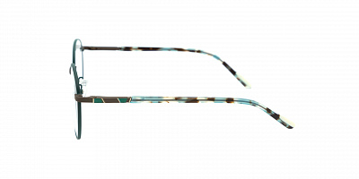 Оправа Sense Eyewear F8116 10
