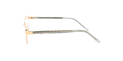 BANISS BR5100-01