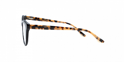 SENSE EYEWEAR WX-A-21052-01