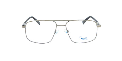 GENEX 1381-003