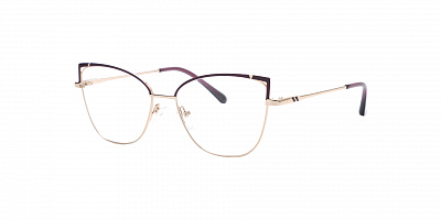 SENSE EYEWEAR WX-M-21015-02