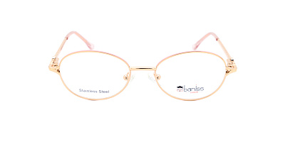 BANISS BY1048-01