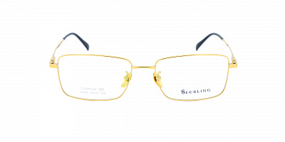 SEEBLING V9900-Z13