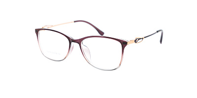 Optilook G6004-4
