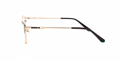 SENSE EYEWEAR DP1010A-4