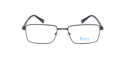 GENEX 1376-041