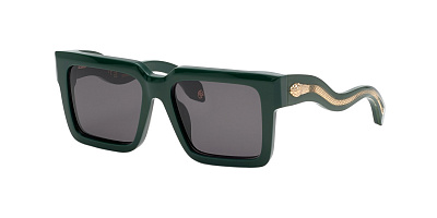 ROBERTO CAVALLI 055-0D80
