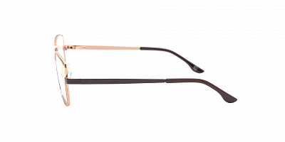 GENEX 1329-021