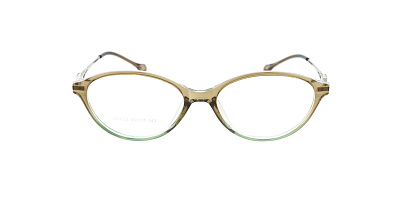 Оправа Optilook G6022 7