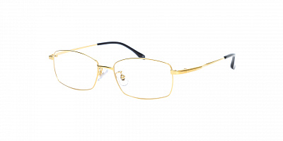 SENSE EYEWEAR RT-0026-GP