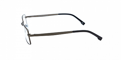 GENEX 1388-041
