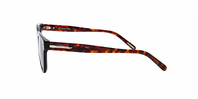 CERRUTI 80038-02