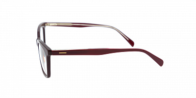 SENSE EYEWEAR F2024-2