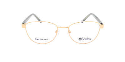 BANISS BR5100-01