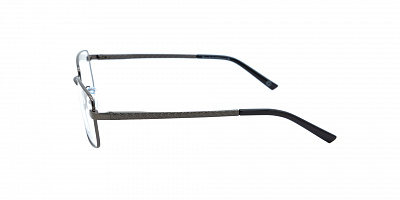 GENEX 1374-019
