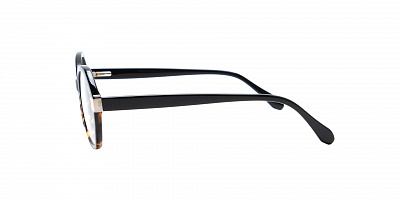 SENSE EYEWEAR WX-A-21055-02