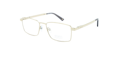 MEGAPOLIS 806-SILVER