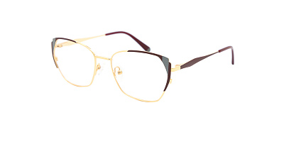 SENSE EYEWEAR DP1011A-4