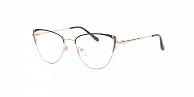 SENSE EYEWEAR WX-M-21014-01
