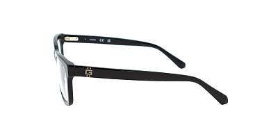 GUESS 50251-001