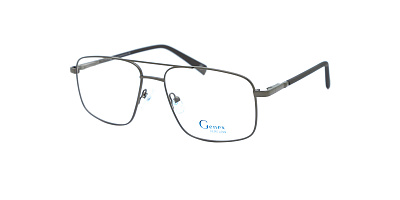 GENEX 1381-019