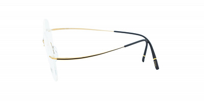 SILHOUETTE 5599-PF-7830