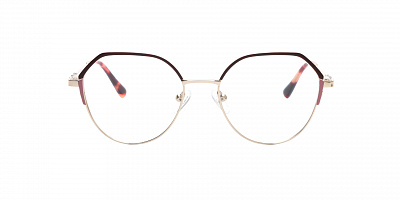 SENSE EYEWEAR WX-M-21022-02