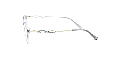 Оправа Optilook G6006 7