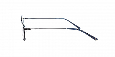BULGET 1843MT-06A