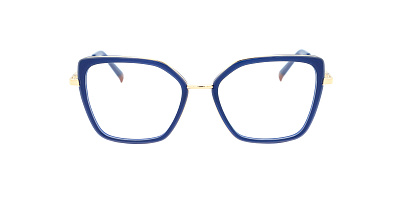 SENSE EYEWEAR F1038H-2