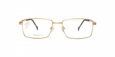STEPPER SI-60195-F010