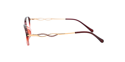 Optilook G6005-6