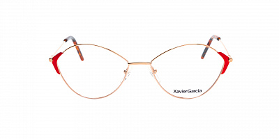 XAVIER GARCIA ROSE-01