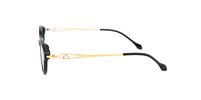 Оправа Optilook G6022 1