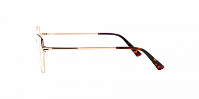 SENSE EYEWEAR DP1008A-1