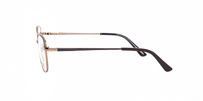 GLORY 712-BROWN
