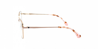 SENSE EYEWEAR F8031-7