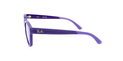 Оправа RAY BAN 0RY1950-7206
