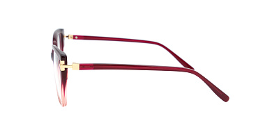 SENSE EYEWEAR F1070D-2