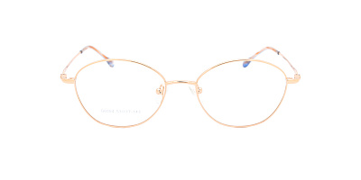 Оправа Optilook G6054 3
