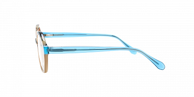 SENSE EYEWEAR WX-A-21055-04