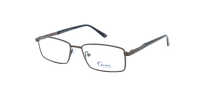 GENEX 1260-041