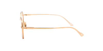 Оправа Optilook T31119 1