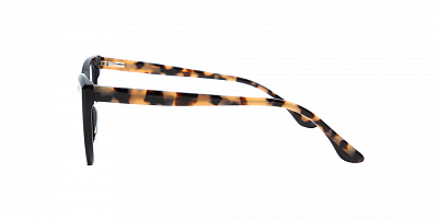 SENSE EYEWEAR WX-A-21053-04