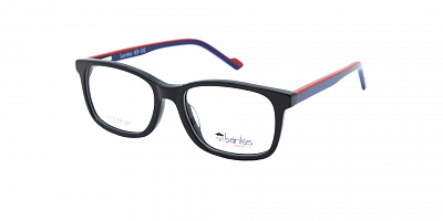 BANISS BSJ6088-01