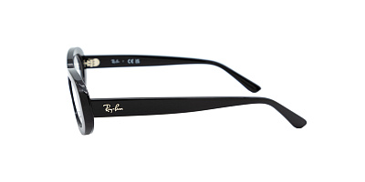 Оправа Ray Ban 0RX2223V 2000