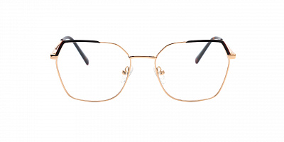 SENSE EYEWEAR DP1008A-1